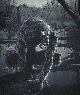 stalker art :: S.T.A.L.K.E.R (#S.T.A.L.K.E.R, s.t.a.l.k.e.r,  S.T.A.L.K.E.R.,) :: r63 :: снорк :: фэндомы / картинки, гифки, прикольные  комиксы, интересные статьи по теме.