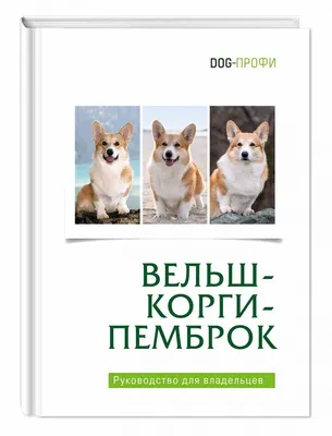 Любовь английской королевы и кельтских фей: 10 забавных фактов о корги |  theGirl