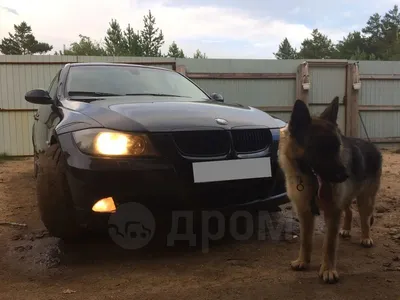 BMW Premium Selection: краткий обзор | BMW