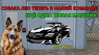 Предохранитель бульдога BMW мастера Стоковое Фото - изображение  насчитывающей собака, бульдоги: 45897326