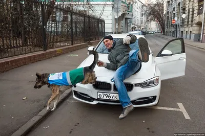 🤣 #doberman #dobermans_of_tiktok #доберман #доберманщенок #собака #bm... |  TikTok