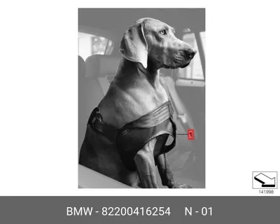 Собаки даже знают как Mercedes и BMW делают 🤣🤣🤣 #mercedes #mercedesbenz  #mercedesamg #merc #mersedes #amg #bmw #bmwm5 #bmw | Instagram