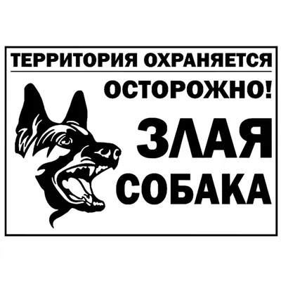 Найдена собака хаски на Советской улице, Липецк | Pet911.ru
