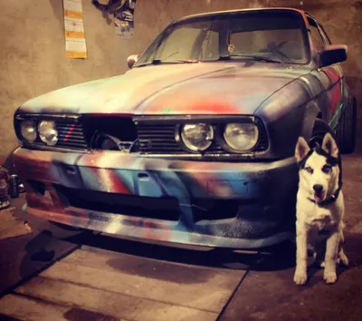 Купить майка для собак и кошек Arnydog BMW красная S, длина спины 25 см,  цены на Мегамаркет | Артикул: 600012335742