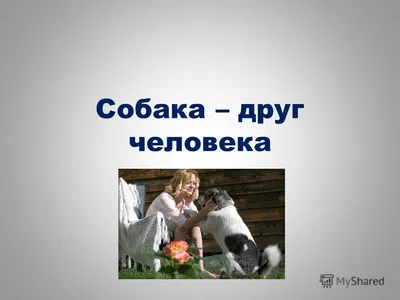 Почему собака друг человека: ищите ответ в мифологии