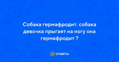 Я Зиночка. Могу идти домой. Приют «Краснодог»