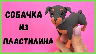 Собака из пластилина. Как слепить из пластилина собаку? | Pâte fimo facile,  Chien fondant, Techniques de décoration de gâteau