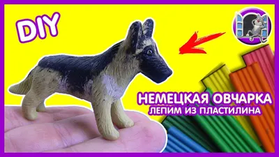 Реалистичный пес из пластилина 😍🐶 ⠀ Такую восхитительную зверушку можно  сделать из обычного пластилина! 👍 Посмотрите короткий видео урок и … |  Instagram