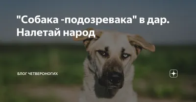 Тот самый взгляд... - ЯПлакалъ