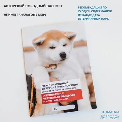 Стрижка и уход за собаками породы «Акита-ину» в Твери! Запись: (4822)  60-05-77 | Салон для животных «Рыжий нос»