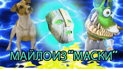 Пес по кличке Майло из фильма \"МАСКА\" // Собака-актер породы Джек Рассел  Терьер - YouTube