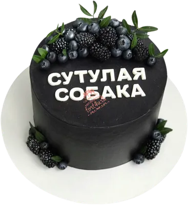 Открытка “Ты ж моя псина сутулая” - FanStuff