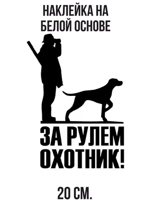 В Словакии собаку оштрафовали за превышение скорости | МОЯ ПЛАНЕТА | Дзен