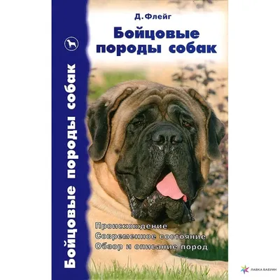 Бультерьер. Особенности воспитания и дрессировки породы.