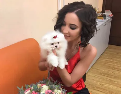 Ольга Бузова проколола уши своим собакам - Stars - Главред