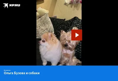 Было страшно и больно»: Ольге Бузовой поставили на зуб бриллиант
