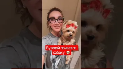 Ольга Бузова раскрыла постельные тайны - 7Дней.ру