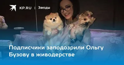 Сотня ши-тцу гостит у Ольги …» — создано в Шедевруме