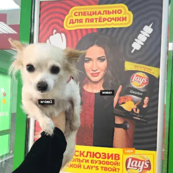Больше, чем друг»: Бузова подарила квартиру в Москве мужчине (фото)