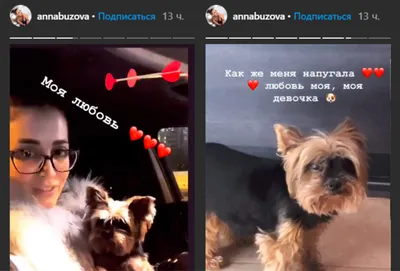 Трепещи, собака#Тарасов