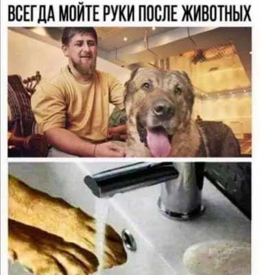 Свердловчанка заплатит десятки тысяч рублей за нападение ее собак на  прохожего