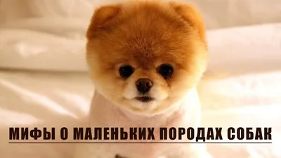 Пора искателя сокровищ – Weekend