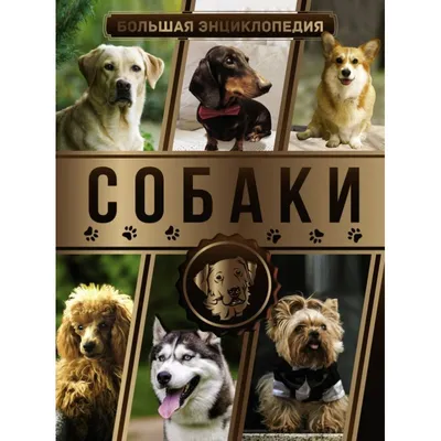ТОП-10 Самых опасных пород собак в мире - [Рейтинг]