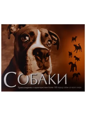 Большая энциклопедия. Собаки — купить в Эстонии | Доставка по Европе