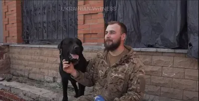 Собаки танки уничтожали, мины под них ставили... Это не их война. Люди  конченные мрази, как жалко собак... Сами себе.. | ВКонтакте