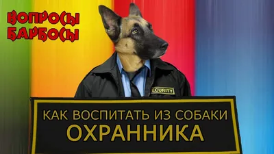 Декоративная имитация статического ротвейлера, модель собаки для детей,  знаменитая собака, охранник, игрушка ручной работы | AliExpress
