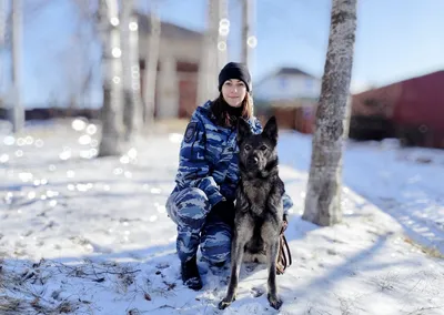 Собаки в Приморье (@primoryedogs) • Instagram photos and videos