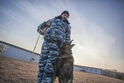 Азиаты Приморья. Алабай/Среднеазиатская овчарка/Central Asian Shepherd dog  - НАШИ СОБАКИ 💟 ВЫ НАЙДЕТЕ НАС ВО ВСЕХ ПОПУЛЯРНЫХ СОЦСЕТЯХ по ХЭШТЕГУ  #АЗИАТЫПРИМОРЬЯ ✓ Холли (Хасыл Ак Тас х Эсгер Данрас Балхаш) 10 мес |  Facebook