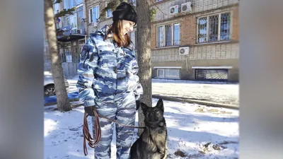 Убивал собак и продавал мясо в кафе: подробности о приморском живодере ::  Новости :: ТВ Центр