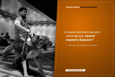 Рамзан Кадыров объявил награду за сбежавшего от него Тарзана // Новости НТВ