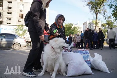 чечня / смешные картинки и другие приколы: комиксы, гиф анимация, видео,  лучший интеллектуальный юмор.