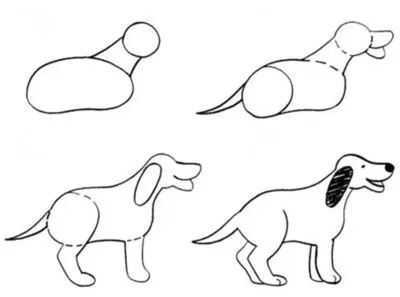 Dogs drawing ideas | Собака рисунки, Собаки, Собачки