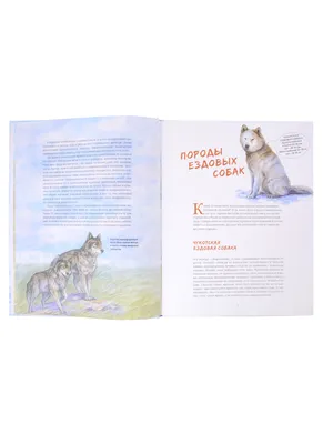 Ездовые собаки Великий транспорт севера (Савва Сафонов) - купить книгу с  доставкой в интернет-магазине «Читай-город». ISBN: 978-5-98-797338-7