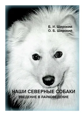 О породах собак. Северные ездовые собаки, часть 1. Сибирский хаски,  аляскинский хаски. | Пикабу