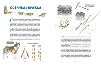 Ездовые собаки Великий транспорт севера (Савва Сафонов) - купить книгу с  доставкой в интернет-магазине «Читай-город». ISBN: 978-5-98-797338-7