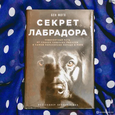 Хаски: порода северных собак» — создано в Шедевруме