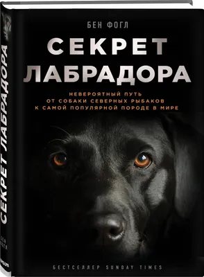 Наши северные собаки. Введение в лайковедение, Борис Широкий – скачать  книгу fb2, epub, pdf на ЛитРес