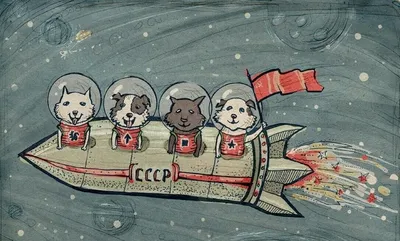 Cобаки в космосе: Лайка, Белка, Стрелка и другие | Космос | Мир фантастики  и фэнтези