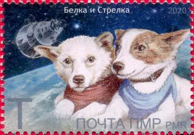 Первые собаки в космосе