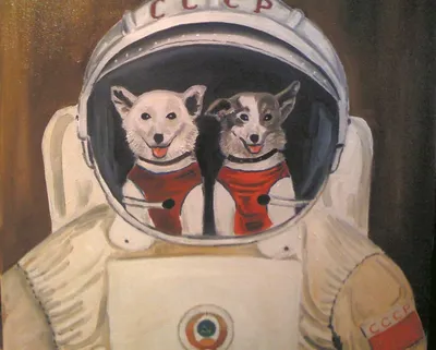 Космонавты наши меньшие: 5 знаменитых животных, которые побывали за  пределами Земли | Вокруг Света