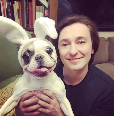 36 of the All-Time Cutest Celebrity Dogs | Знаменитости, Собачки, Собаки