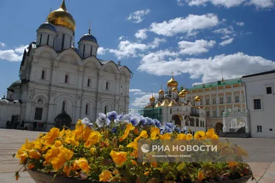 Успенский собор — Узнай Москву