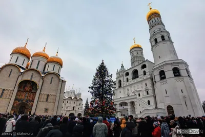 Соборная площадь (Ростов-на-Дону) в Ростове-на-Дону - Ростов-на-Дону.вики