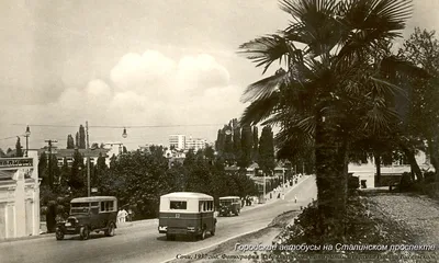 Города СССР Сочи Санаторий Чемитоквадже 1980 г почтовая с маркой Кавказ