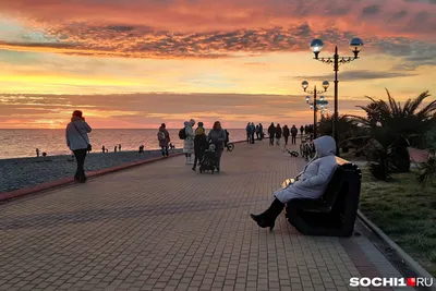 Жители Сочи бегут из родного города. Почему коренные жители хотят уехать из  Сочи, а приезжие остаться. Сочи в январе 2022 года - 7 января 2022 - 29.ру