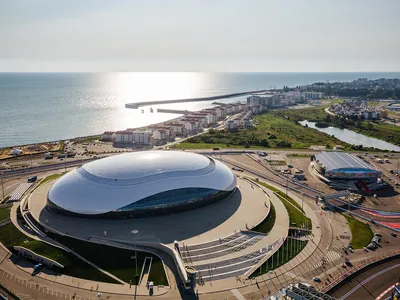В Краснодаре пройдет выставка, посвященная 10-летию Олимпиады в Сочи